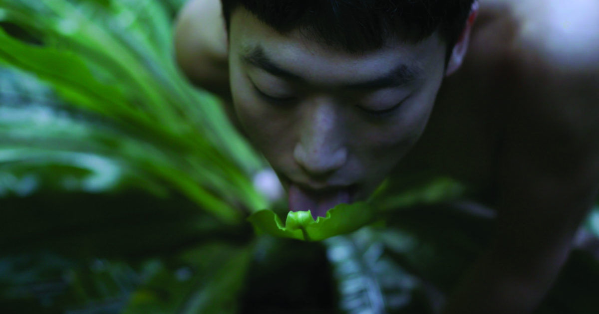 Bo Zheng artist
